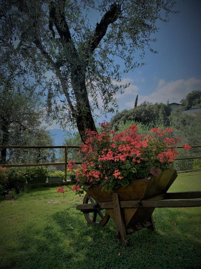 Appartamento Camelia Malcesine Esterno foto